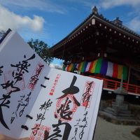 特別拝観三十三年というなら甲賀三大仏(大池寺櫟野寺十楽寺)（1/3）