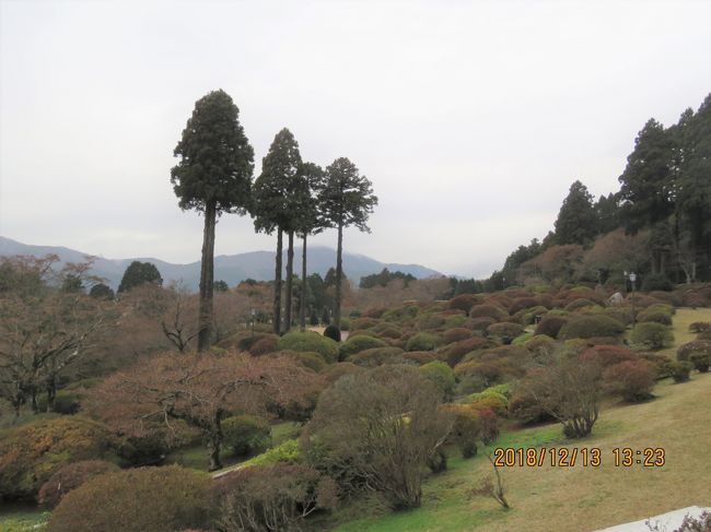 12月13日、午後1時過ぎに箱根神社より下って箱根七福神へ出てその後昼食をとるために山の上ホテルへ行きました。昼食後山の上ホテルからタクシーで箱根園へ出て駒ヶ岳ロープウエイに乗り、駒ヶ岳山頂より富士山を見る予定でしたが、天気が悪く小雨模様でしたので元箱根へ引き返しました。<br /><br /><br /><br />＊写真は山の上ホテルから見られる庭園・・ツツジ園ですがここから富士山が見られはずでした