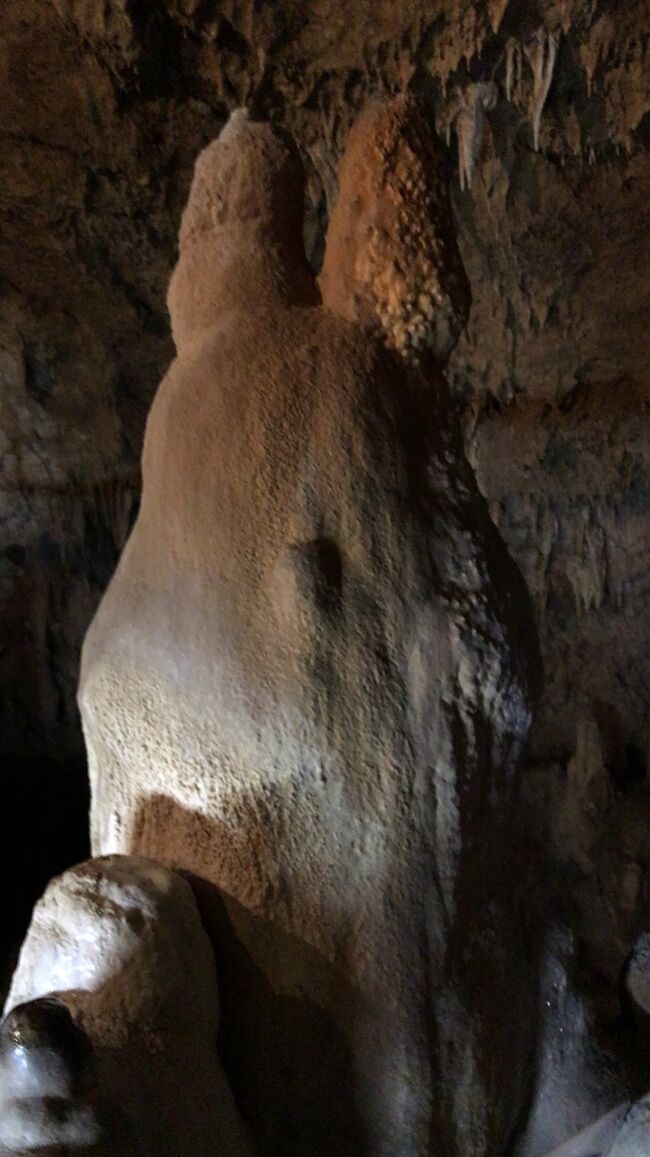 今回は、石垣島最後の観光・グルメ・御土産そして空の旅までを紹介します。<br />石垣島にトトロがいるという情報を入手した私たちは鍾乳洞へ。<br />この時期(特に平日)は訪れる人も少ないので、神秘的な世界を存分に楽しむことができました。<br />この日は雨も降っていましたから、お天気が悪い日は海遊びよりも観光。<br />何処へ行こうかと迷った時は、トトロに会いに行きましょう。<br />旅行記の後半は御土産情報も紹介しますので、良かったら参考にしてください。