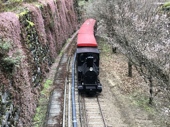 東平 東洋のマチュピチュ通行止  銅山