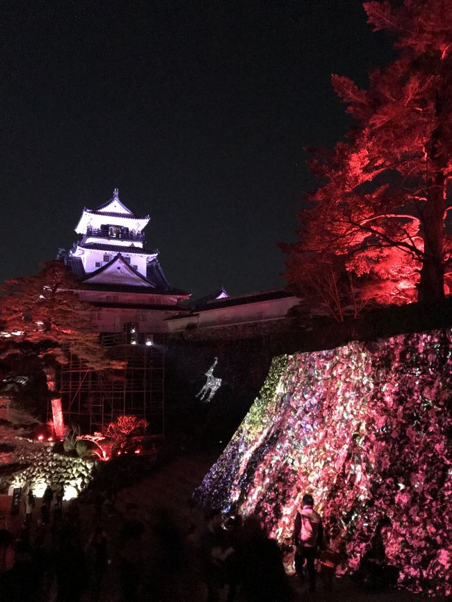 まだ47都道府県の未踏の地、高知県。<br />いつかは行こうと思ってた時に成田~高知間をジェットスターが就航するとのこと。<br />12/19が就航日ということで、初便体験とノープランの高知の旅へ出かけました。<br /><br />【行程】<br /><br />12/19(水) 成田GK423便 12:35発~14:30着 空港リムジンにてホテルへ 夕方~ひろめ市場と高知城<br /><br />12/20(木) バスにて桂浜~坂本龍馬記念館~牧野植物園~ひろめ市場~ホテル<br /><br />12/21(金) はりまや橋~商店街など 空港リムジンにて高知龍馬空港へ GK426便 15:05~16:25<br /><br />【費用】<br /><br />航空券往復(往路座席指定など含む)¥13,290 ホテル(高知ホテル)2泊素泊まり ¥9,100<br />食事代 約¥7,500 入場料 約¥3,000 交通費 約¥3,500 <br />合計 ¥36,390<br /><br />
