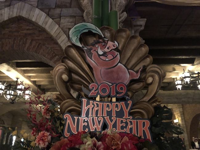 【東京ディズニー】2019/1新年初Disneyに行ってみるさー。