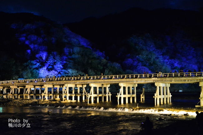 遅くなりましたが光明院から泉涌寺をぶらりとして嵐山花灯路の撮影です。<br />残り紅葉も落ち着き光明院の拝観者も少なくなりました。<br />泉涌寺をぶらりと撮影していざ嵐山花灯路の撮影へ<br />通路の大部分が一方通行になっていて昨年は通ることができた通路が入れなかったりしましたが<br />竹林は意外と昨年ほどの混雑はありませんでしたが<br />とはいえ沢山の人がお見えでした。<br />