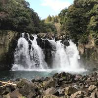 お得な航空券で出かけた宮崎、鹿児島の旅