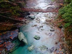 人気の秘密、祖谷渓谷かずら橋　（2日目・四国ドライブ2018)