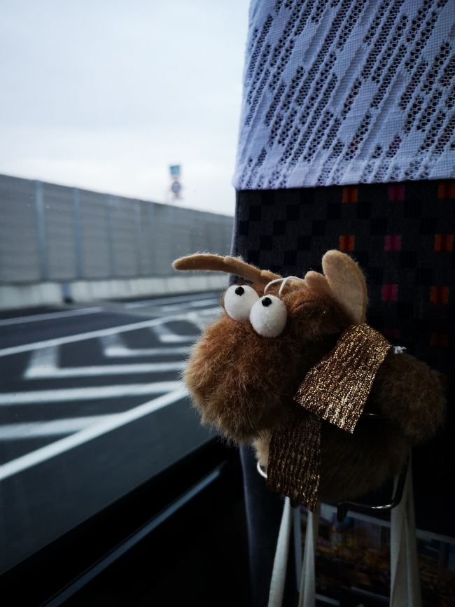夢にまで見るオーロラ、一度でいいから見てみたいオーロラ。<br />そんなオーロラを探し求めて、はるばるやってきました日本から!!<br />クリスマスとオーロラ、両方を一度で叶えたい貪欲なニホンジンに<br />果たしてオーロラの女神は微笑んでくれたのか!?<br /><br />遥か北極圏を超えたラップランドの小さな町サーリセルカと、ヘルシンキ、タリンを巡る旅のスタートです!<br /><br /><br />※お目に留めて頂き、ありがとうございます!<br />この旅行記は今ご覧になっている1から13までまであって、たった8日間の事なのに、ものすごく長いです(笑)<br />写真もたくさんてんこ盛り!<br />よくある北欧の旅行記だけど、感じたこと体験したことを、できるだけありのままに綴っていきたいと思います。<br />良かったらお付き合い下さい!<br />(*^^*)<br /><br /><br /><br /><br />※※※※※※※※※旅程※※※※※※※※※<br /><br />2018年<br />12月16日㈰各地→成田で前泊<br />12月17日㈪成田→ヘルシンキ→イヴァロ→サーリセルカ<br />12月18日㈫サーリセルカ滞在<br />12月19日㈬ 〃<br />12月20日㈭サーリセルカ→イヴァロ→ヘルシンキ<br />12月21日㈮ヘルシンキ滞在<br />12月22日㈯エストニアのタリンへ<br />12月23日㈰ヘルシンキ→<br />12月24日㈪成田→各自宅へ<br /><br /><br />