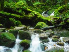 2018暴風低気圧さく裂の屋久島ｗ