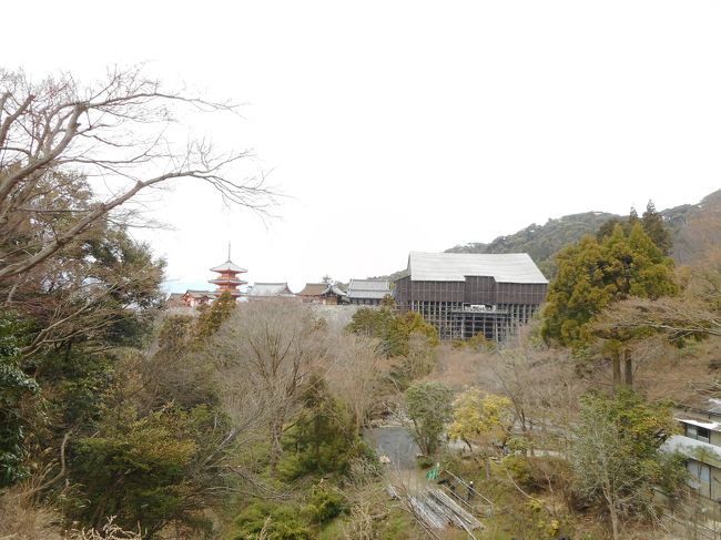 孫娘の小学校卒業を祝い、京都旅行をプレゼントすることとし、宇治の平等院、祇園、二条城、金閣寺、銀閣寺、清水寺等へ赴くこととした。桜の咲く時期には、1週間早かった。<br /><br />3月18日の宿泊は、二条城の隣に立つANAホテルクラウンプラザ京都とし、孫娘に誕生祝として送る景色として二条城を見ることのできる部屋をお願いした。<br /><br /><br />京都に着いたその日は、ホテルに荷物を置き宇治の平等院へ向かった。その帰りに祇園経由で夕食をとりホテルに帰った。<br /><br />3月19日の早朝から、ホテルの食事を楽しみ、ホテルのシャトルバスで京都駅発三観光地をめぐる観光バスに乗り、今日の観光に出かけた。<br /><br />15時半頃観光を終え、駅ビル観光とお土産の買い物に費やした。<br /><br />清水寺観光時の昼食が少なかったので、駅ビルにある湯葉の京都料理で昼食と早い夕食を取ることとした。<br /><br />駅ビルの建物が複雑で近代的なので、駅ビルの屋上や中庭を観光しライトアップ等で楽しんだ。<br />