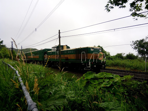 この旅行記は<br /> <br />2018夏 北海道東北旅行 #4札沼線乗車記 https://4travel.jp/travelogue/11405953<br /><br />の続きとなります。<br />この日は網走を出て、くしろ湿原ノロッコ号に乗車してきました。