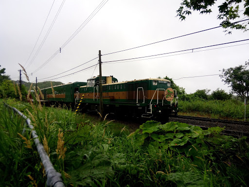 くしろ湿原ノロッコ号乗車記（2018年夏　北海道東北旅行記⑥）