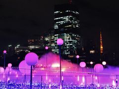 ２０１８年１２月　東京　１日目　その２　東京ミッドタウンのクリスマスイルミネーション