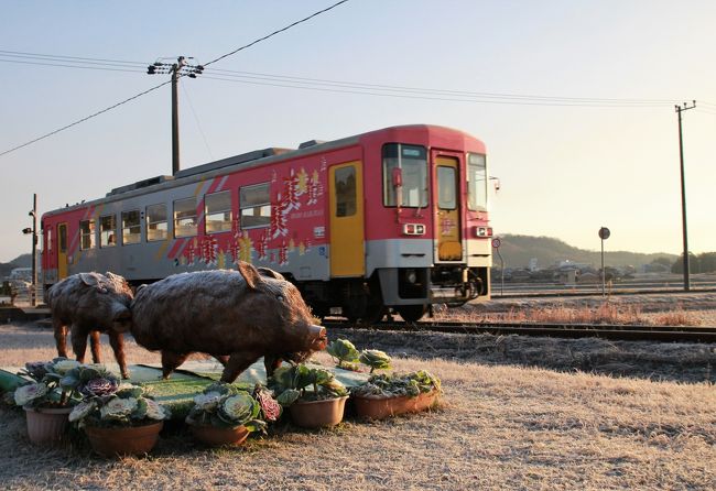 　兵庫県加西市、ここは播州平野の中央部に位置し、長閑な田園風景が広がる地方都市です。この加西の田園風景の中を走るローカル鉄道、それが北条鉄道です。北条鉄道は、始発のJR加古川線粟生駅から終点の北条町駅まで、全長約15キロに８つの駅があります。これらの駅は、始発の粟生駅と終点の北条町駅以外はすべて無人駅、でも月に何度かそれぞれの駅にはボランティア駅長が訪れ、それぞれの駅で個性的な活動が行われています。その中のひとつが長駅です。<br />　長駅、この駅の近くには長の石山と地元で呼ばれる石切山があり、昔から良質な石が採れたことから、加西市内には多くの石仏がそこかしこにあります。この石仏、古いものでは白鳳期に造られたという古法華の石仏や室町期に造られたと伝わる北条石仏五百羅漢、更には江戸時代の造られたという背中に十字架が描かれた石仏、キリシタン地蔵などがあります。このキリシタン地蔵、長駅の東約2キロにある多聞寺にそのひとつが今も残っています。北条鉄道創業時は、この駅には石材を搬出するための貨物用の引込線もありました。<br /><br />　前置きが長くなってしましました。今日は北条鉄道長駅ボランティア駅長の今年最後の出勤日です。長駅は、北条鉄道が創業した大正5年に建てられた駅舎が今も残り、何となく昭和の香りが漂う懐かしい雰囲気の駅です。そして、この長駅のボランティア駅長浦浜さんは、かつての国鉄の駅員さんの制服に身を固めてホームに立ち、駅に到着する列車の出迎え、そして発車していく列車の見送りを行います。到着した列車の運転手さんと言葉を交わし、そして敬礼で列車を見送る。この光景は正に昭和の頃の駅そのものです。<br />　この駅長さん出勤日には、駅長さんを慕って全国から鉄道愛好家やカメラマン、鉄道好きの子供たちなど、愉快な仲間たちが集まります。この駅には人があつまり、その中で人とひととの触れ合いができる。これは正に昭和の時代、地域のコミュニティースポットでもあった駅の姿そのものではないでしょうか。<br />　懐かしい昭和の時代にタイムtリップしたかのような雰囲気、長駅ボランティア駅長さんの出勤する日、ここにはそんなほっこりした心地の良い空間が出現します。何となく落ち着き、そして居心地のいい場所、それが長駅です。<br /><br />　昭和の雰囲気香る長駅、駅長さん出勤日には、たくさんの愉快な仲間たちが集まる駅、今年も一年お世話になりました。来年もよろしくお願いします、ということで播磨横田駅の先にこの年末も登場した来年の干支かかしをここに掲載しました。　みなさま良いお歳を、<br /><br />　長駅は毎月２～3回、土曜日にボランティア駅長さんが出勤されます。詳しくは北条鉄道ホームページをご覧ください。<br /><br />北条鉄道ホームページ<br />http://www.hojorailway.jp/stationmasteractivity<br />