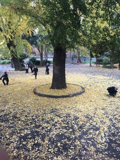 外国人を連れて週末の東京観光。その２：上野公園～秋葉原編