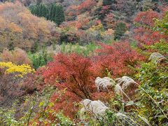 筒森もみじ谷と養老渓谷中瀬遊歩道の紅葉 2018 ～房総さとやまGOで巡る旅～（千葉）