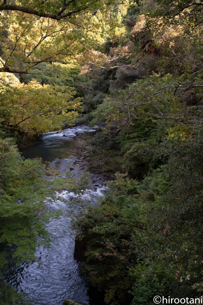 この日は台風が北陸方面を直撃するという中で、無謀にも加賀の山中温泉に向かいました。北陸自動車道は、結構風が強く、恐る恐る運転しました。山中温泉到着後、なんとか雨は免れたところで、鶴仙渓を散策しました。