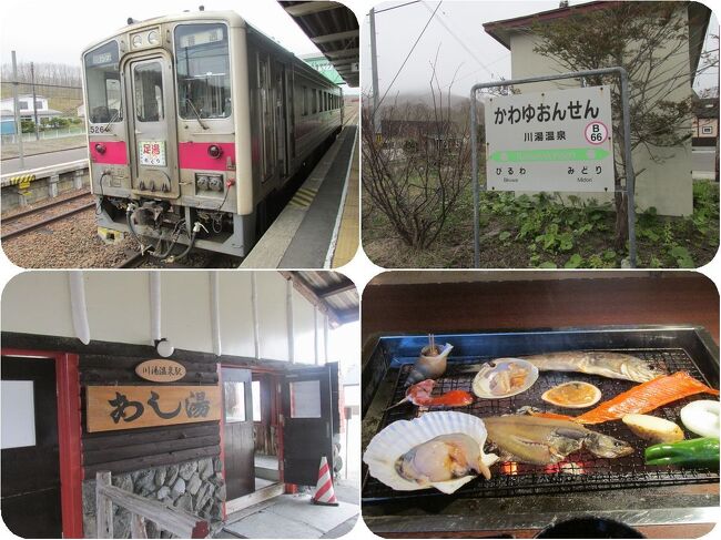 2016年3月の北海道新幹線の新函館北斗までの開業を前に、2015年3月で惜しまれつつも廃止となった寝台特急北斗星。<br />1988年3月の青函トンネル開業とともに運転開始してから27年間にわたって、上野-札幌間を結び多くの乗客に愛されてきました。<br />そのチケットはプラチナチケットと呼ばれた時代もあったほどの人気ぶりで、最盛期には3往復も運転されていました。<br /><br />北斗星が大好きだった私は、開業後数年の間繰り返し何度も利用しました。金曜日の夜に早めに仕事を終えて北斗星で北海道に渡り、月曜日の朝に北斗星で帰って来てそのまま出社という旅を何度も繰返したものです。<br />いつしか仕事に追われてそんな旅もできなくなり、月日が経って行きました。<br /><br />廃止になる約2年前の2013年5月、初夏の北海道に渡り、久しぶりに北斗星のA寝台個室ロイヤルに乗って、別れを惜しんで来ました。<br /><br />釧路まで飛行機を利用し、釧路湿原、知床半島、網走、札幌、支笏湖、洞爺湖、有珠山、小樽などを巡る旅をして、札幌からの帰路が北斗星最後の乗車となりました。