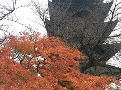 紅葉間に合った！雨の京都