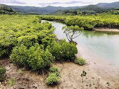 平成最後の八重山列島年越し紀行