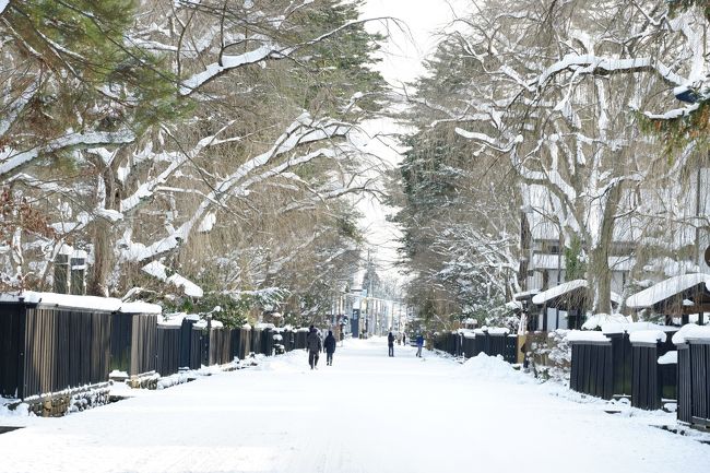 ２０１８年の旅納め、どこにしよう？<br />あれこれ考えた結果、雪見露天に入りたい、という結論に至り、東北へ行ってきました。<br /><br />一週間前に、「仕事納めの２８日はお休みいただきます！」宣言をし、すぐさま宿の予約を入れたものの、直前まで仕事がバタバタで本当にいけるのかどうか不安でしたが、実現して本当に良かった。<br /><br />１年間頑張った自分へのご褒美旅行！<br /><br />旅行記ラストその３は大雪に見舞われた二日目の記録です。<br />北上線運休により大幅に予定がくるってしまいました。<br />旅にハプニングはつきものですね。<br />このため角館観光は時間が足りず、まだまだ見たりないので、いつかリベンジしたいです。<br /><br />１日目：平泉（毛越寺＆中尊寺）→湯田温泉宿泊<br />２日目：角館<br /><br />旅行記その１はこちら↓<br />https://4travel.jp/travelogue/11437292<br /><br />旅行記その２はこちら↓<br />https://4travel.jp/travelogue/11437418