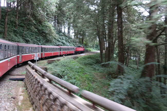 台湾で年越&温泉 2019 ５日間 ①高雄で新年の花火・阿里山森林鉄道