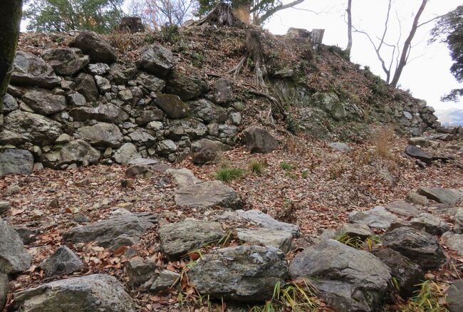 破城の状態のまま残された、美濃金山城の本丸跡の紹介です。1601年に破城されたとの記録がありますが、その破城された状態を、400年以上も経った今日に見学できるのも興味深いことでした。(ウィキペディア、日本百名城・続日本百名城公式ガイドブック)