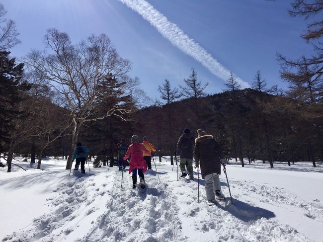 雪に囲まれた露天風呂に入りたいけど、行くまでは大変そう。<br />いつも温泉に行く万座温泉日進館は、新宿から直行バス宿泊プランがあり、これを利用して雪見温泉に行ってきました。<br />また、タイミングよくスノーシューツアーがあり純白の雪山を散歩してきました。