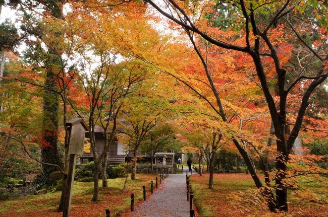 大原の里で、大原三千院、宝泉院、来迎院、寂光院をめぐり、<br />帰りに八瀬の瑠璃光院へ<br />夜はホテルの周辺を散策