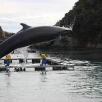 南紀へ遠乗りドライブ②　くじらの町・太地　本州最南端の町・串本へ