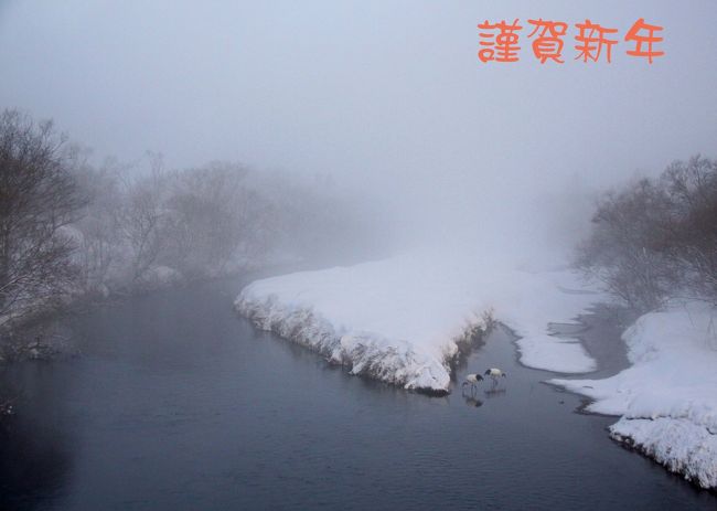 今年もよろしくお願いいたします<br />三が日はもっぱら初詣と箱根駅伝で野鳥からすっかり離れて過ごしました<br /><br />表紙は数年前の撮影ですが年のスタートに相応しいと思いアップしました<br />この写真で一句<br />湿原の 朝霧が包む 夫婦鶴<br /><br />今年の初撮りは1月4日の三番瀬からです<br />