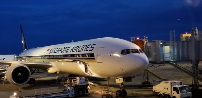 今回は成田発のシンガポール航空でロスアンジェルスまで行き、ロスアンジェルスからユナイテッド航空の国内線に乗り換えてシカゴへ向かいました。<br />シンガポール航空の利用は久しぶりで、US行きは10年ぶり位になります。最近はANAやユナイテッドが多くなりました。<br />シカゴの到着が夜遅く、当日乗り継ぎができないので、シカゴで一泊する事となりました。<br />翌日、インディアナポリスに向かい、その後、ボルティモア、ウィチタをまわりました。