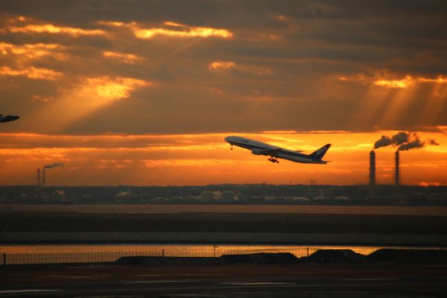 ブララブコー 「2019年 初日の出は羽田空港から」