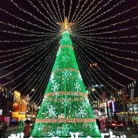 クリスマスはソウルから釜山へ～釜山編1