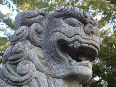 成海（なるみ）神社に初詣に行ってきました。今年もよい年でありますように。