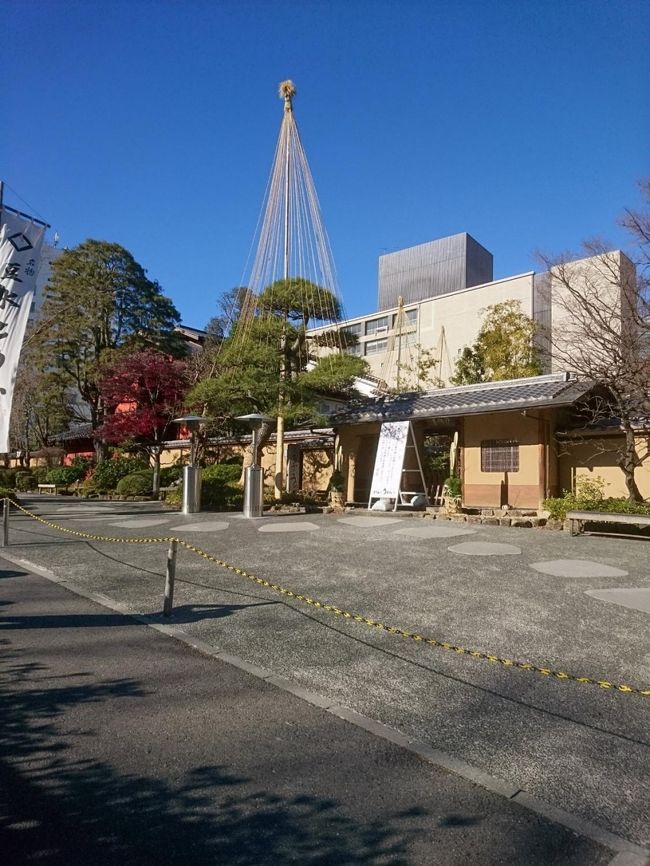 2018年も終わりになりますので、東京で遊び納めをしようということになりました。<br />年末に旅行の計画もありましたが、何だかんだと頓挫したということもあり、身近で済ませようということなんですけどね。<br /><br />とにかく今年も東京にお世話になったということで、ちょっと東京遊びをしてきました~。