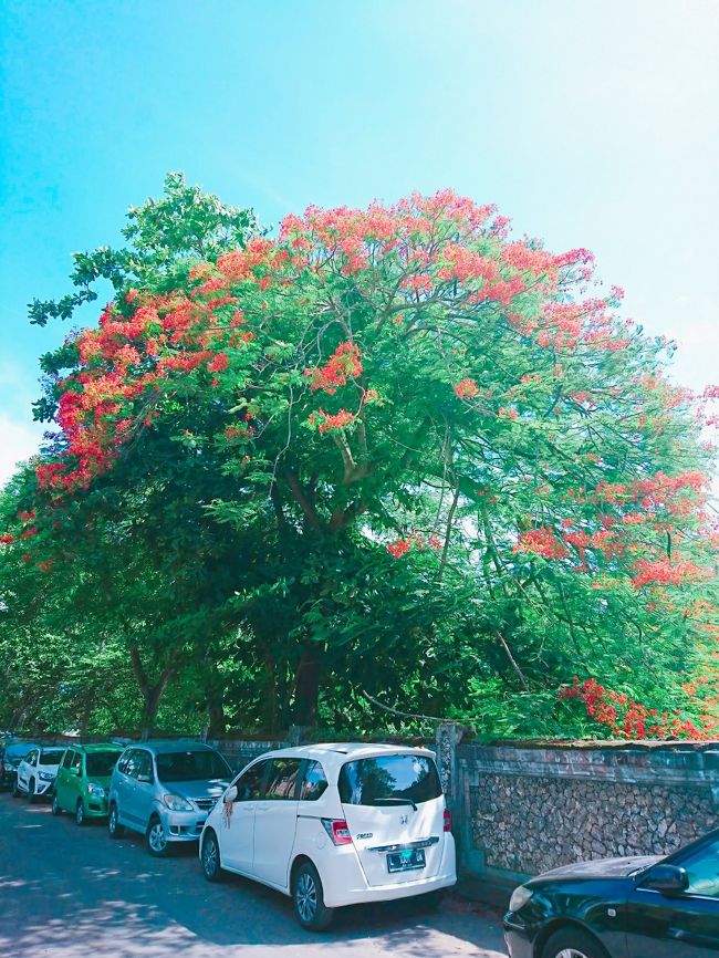 2018年-2019年もバリ島でなーんにもしない年越し！（ホテルの部屋編）