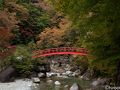 中津川の旅行記