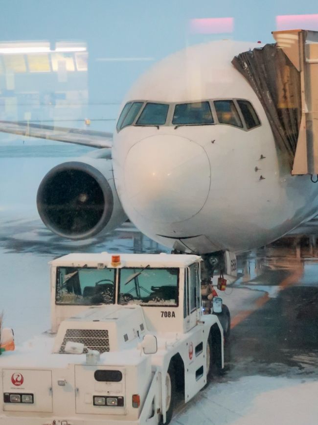 旭川空港（Asahikawa Airport）は、北海道旭川市及び上川郡東神楽町にまたがる特定地方管理空港。<br />愛称は「北海道のまん中・旭川空港。 <br />北海道第2の都市旭川市中心部から南東約16km（バスで約35分）の田園地帯に囲まれた丘陵地帯に位置する。旭川を中心とした道北の経済、文化、観光の拠点である。空港の東側には、日本最大の国立公園である大雪山連峰と、これに続く十勝岳連峰の山々がある。 <br /><br />管理者の旭川市による除雪体制が充実しており、新千歳空港のように大雪で閉鎖されることがほとんどない。冬でも就航率が高く、5年間で降雪による欠航はわずか5便のみである。一方で年間約1億5000万円にものぼる除雪費がほぼそのまま空港収支の赤字となっており、財務面での負担となっている。 <br />2020年度より国が計画している、北海道内7空港の一括運営民間委託の対象となっており、旭川空港については2020年10月1日より運営が移管される。<br />（フリー百科事典『ウィキペディア（Wikipedia）』より引用）<br /><br />旭川空港　については・・　https://www.aapb.co.jp/<br /><br />ＪＡＬ　については・・　　https://www.jal.co.jp/<br />