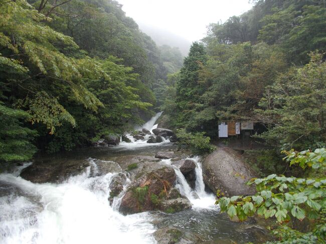 9月27日（木）<br /><br />屋久島の白谷雲水峡とガジュマル公園に行き、宮之浦港から鹿児島港に戻り、鹿児島空港から羽田空港に戻ります。