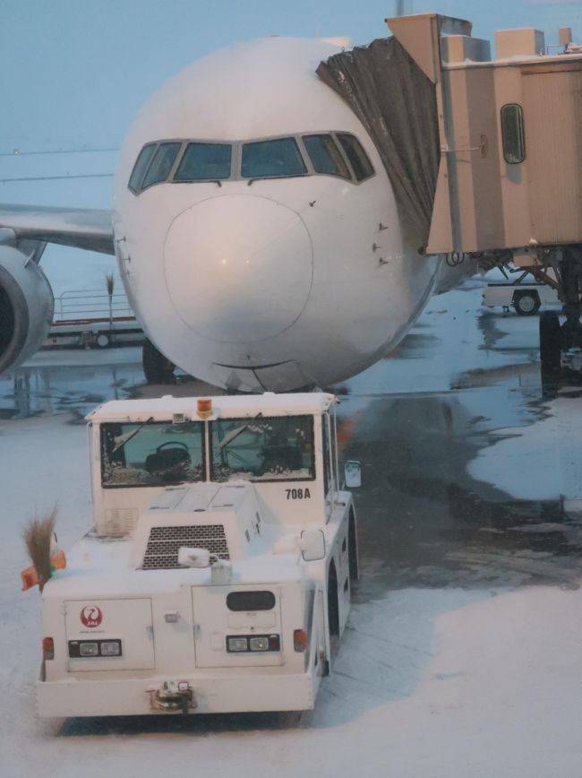 旭川空港（Asahikawa Airport）は、北海道旭川市及び上川郡東神楽町にまたがる特定地方管理空港。<br />愛称は「北海道のまん中・旭川空港。 <br />北海道第2の都市旭川市中心部から南東約16km（バスで約35分）の田園地帯に囲まれた丘陵地帯に位置する。旭川を中心とした道北の経済、文化、観光の拠点である。空港の東側には、日本最大の国立公園である大雪山連峰と、これに続く十勝岳連峰の山々がある。 <br /><br />管理者の旭川市による除雪体制が充実しており、新千歳空港のように大雪で閉鎖されることがほとんどない。冬でも就航率が高く、5年間で降雪による欠航はわずか5便のみである。一方で年間約1億5000万円にものぼる除雪費がほぼそのまま空港収支の赤字となっており、財務面での負担となっている。 <br />2020年度より国が計画している、北海道内7空港の一括運営民間委託の対象となっており、旭川空港については2020年10月1日より運営が移管される。<br />（フリー百科事典『ウィキペディア（Wikipedia）』より引用）<br /><br />旭川空港　については・・　https://www.aapb.co.jp/<br /><br />ＪＡＬ　については・・　　https://www.jal.co.jp/<br /><br />グラデーション（gradation）とは、図画の中で、位置に対し色が連続的に変化することである。<br />