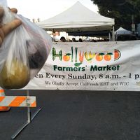 ぴこたび年の瀬ロサンゼルス2018☆～【4】Hollywood Farmers Marketと朝さんぽ