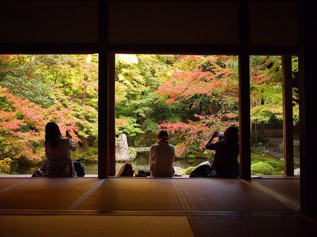 11月初旬京都3日目（瑠璃光院・蓮華寺）