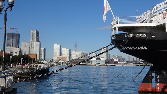 退職旅行の横浜編です！横浜へ行ったらいっつも中華街の編集で終わりますが、今回は時間もあるので外国人墓地やみなとみらいなど、その他の項目も撮って来ます！<br />ーーー★は口コミ参照してください！－－－<br /><br />【2019.1.3　木】<br />★石川町（元町中華街）　★横浜媽祖廟　★西陽門<br />★朝暘門　★朱雀門　★市場通り門　★善隣門　★天長門　★延平門<br />★富貴包子桜　★白楽店　★グランパーク・イン横浜<br /><br />【2019.1.4　金】<br />★横浜中華街関帝廟　★玄武門　★地久門　★山下公園　★水の守護神像<br />★日米友好ガールスカウト造　★リカルテ将軍記念碑　★インド水塔<br />★フランス山　★旧フランス領事館　★愛の母子像　★横浜市イギリス館<br />★沈床花壇　★海の見える丘公園（展望台地区）★横浜外国人墓地　<br />★アメリカ山公園　★山下町公園　★石のステージ