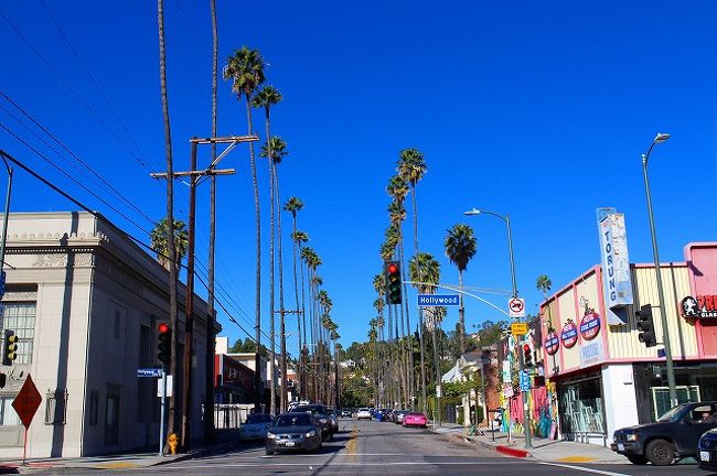 LA滞在8日目。<br />今日は朝ごはんと散策にグレンデールへ。<br />Hollywoodでお昼ごはんをいい感じのお店で食べたあと、パームツリーに誘われてついフラフラと・・・。<br />　<br />　<br />　<br />