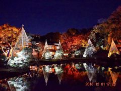 2018 肥後細川庭園 秋の紅葉ライトアップ ーひごあかりー
