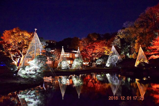2019年平成最後の年となりました。<br />旅行記は季節がちょっと遅れておりますが、晩秋の紅葉もんです。<br /><br />12月に紅葉??<br />都内は今年は暖かいので紅葉が長引いていることもあるんでしょうけど・・・<br />見に行ったのは、文京区の椿山荘そばの池泉回遊式庭園の新江戸川公園とも呼ばれる肥後細川庭園。<br />11月23日(金)~12月2日(日)の期間限定で夜の日本庭園ライトアップも開催されました。<br />ライトアップもある紅葉では六義園が有名ですが、混雑しそうだったので、今年は以前散策で行ったことがある肥後細川庭園にしました。<br /><br />これが大正解で、混雑もなく、また今年は夏の異常な暑さや晩秋でも暖かだったことから色づきがよくないスポットが多かった中、みごとな紅葉と夜のLEDライトアップが見れて幻想的な景色でした。<br /><br />肥後細川庭園の紅葉ライトアップ<br />https://parks.prfj.or.jp/higo-hosokawa/information/秋の紅葉ライトアップ~ひごあかり~開催決定!-2/