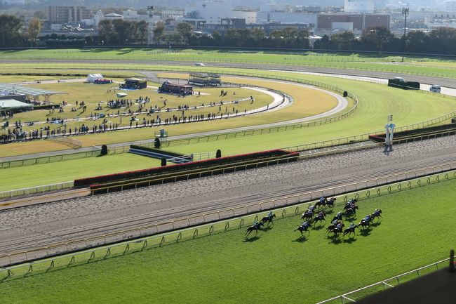 「東京競馬場」VIPルームから優雅な観戦♪