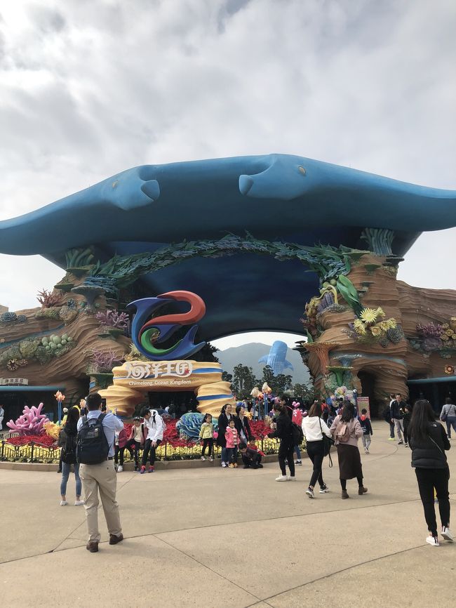 香港旅行の途中で、ちょっと足を伸ばして世界最大の水族館がある長隆海洋王国へ行ってきました！あまり情報がなく、しかも中国ということで苦労もありましたが、結果としてとっても楽しかったです！<br />東京から日帰りでUSJへ行くより断然楽でした。興味のある方は是非行ってみてください。<br /><br />中国に行くのでパスポートは必須です。あと、長隆海洋王国は現金かWeChat payとかしか使えません。日本のクレジットカードは使えませんでした。ご注意ください。