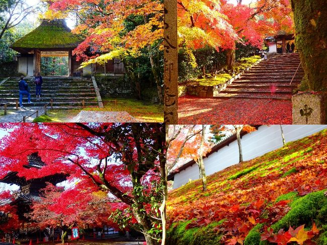 晩秋も過ぎ去ろうとする２０１８年１１月２９日の午前。<br />平成最後の京都の秋を自転車で慌ただしく巡ってきました。