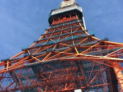 年末、弾丸東京観光、はとバスツアー東京二大タワー 競演   東京スカイツリー 東京タワー入場付きコース