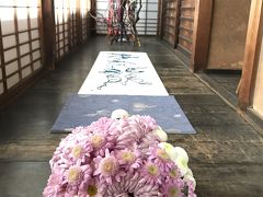 京都を散策 ～生け花の美しい雲龍院で写経からの夜間拝観青蓮院～